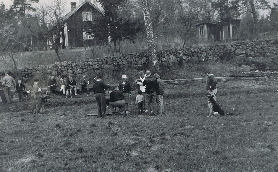 bedömning_historia
