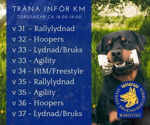 Träna-KM
