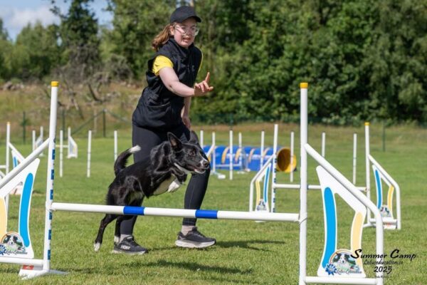 Agility Mikaela