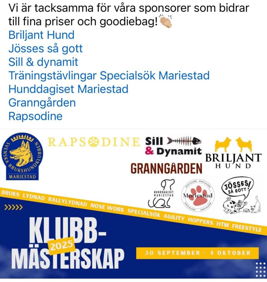 Sponsor